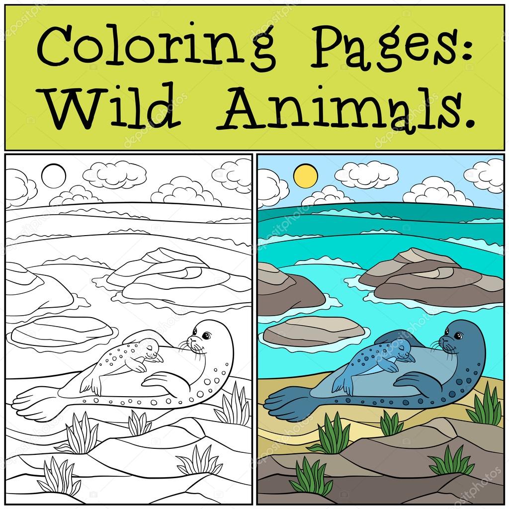 Coloring page with example. Mother seal with her cute baby. Stock ...