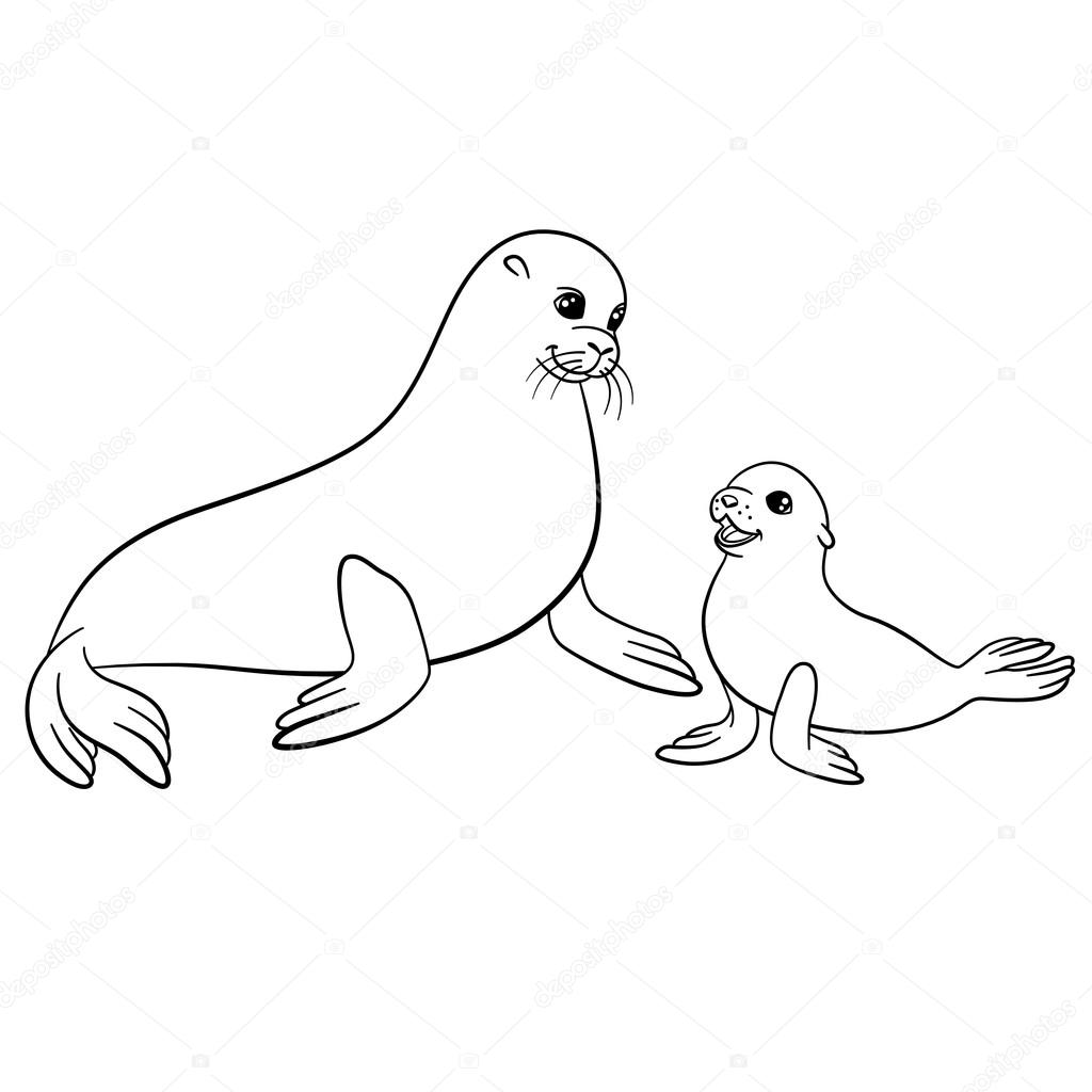Coloring pages Mother fur seal with her cute baby — Stock Vector
