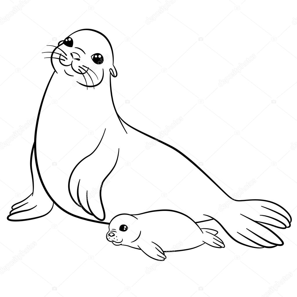 Disegni da colorare Guarnizione di madre con il suo piccolo carino cucciolo di foca — Vettoriali di ya mayka