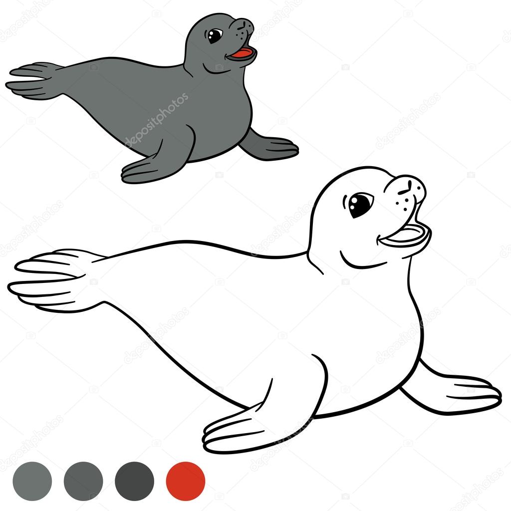 Pagina da colorare con i colori Piccola carina foca grigia sorrisi — Vettoriali di ya mayka