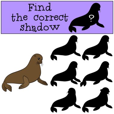 eğitici oyun: doğru gölge yi bulun. Küçük sevimli kürk mühür.