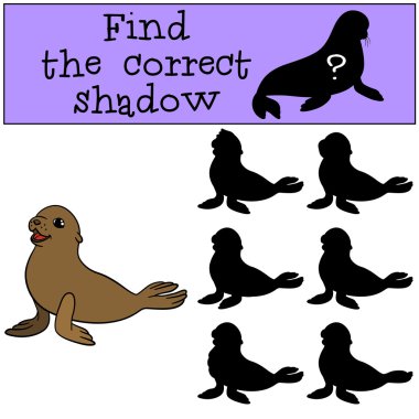 eğitici oyun: doğru gölge yi bulun. Küçük sevimli bebek mühür