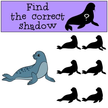 eğitici oyun: doğru gölge yi bulun. Küçük sevimli kürk mühür.