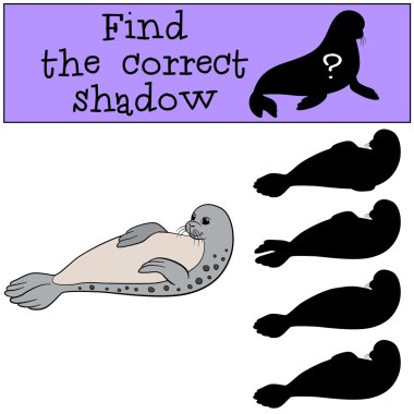 eğitici oyun: doğru gölge yi bulun. Küçük sevimli kürk mühür.