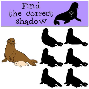eğitici oyun: doğru gölge yi bulun. Anne mührü ve bebek.