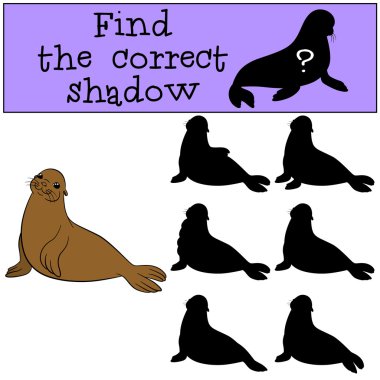 eğitici oyun: doğru gölge yi bulun. Küçük sevimli kürk mühür.