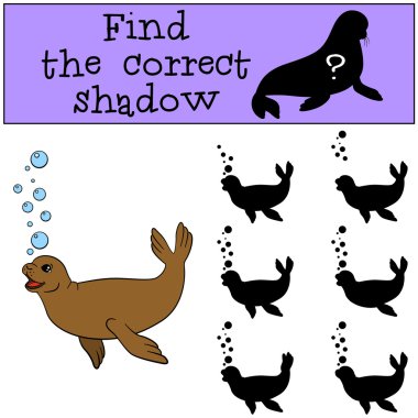 eğitici oyun: doğru gölge yi bulun. Küçük sevimli kürk mühür.
