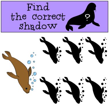 eğitici oyun: doğru gölge yi bulun. Küçük sevimli kürk mühür.