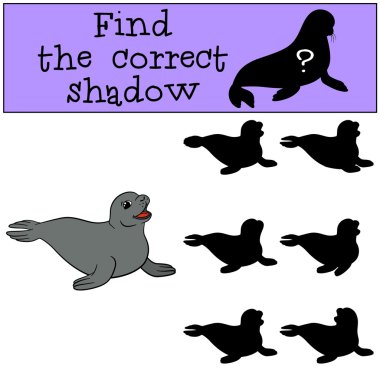 eğitici oyun: doğru gölge yi bulun. Küçük sevimli kürk mühür.