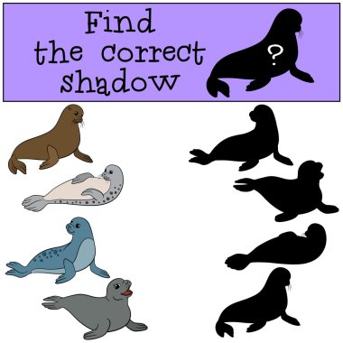 eğitici oyun: doğru gölge yi bulun.