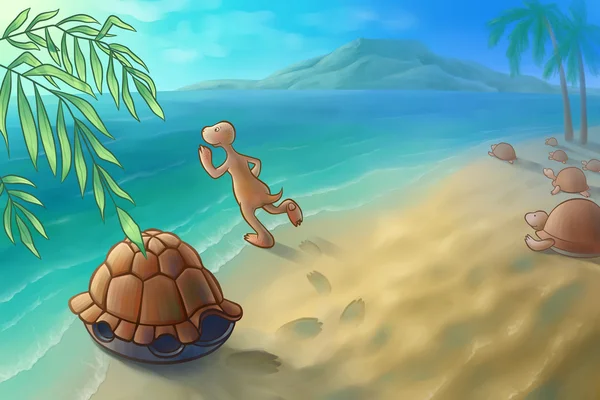 Simning sköldpadda — Stockfoto