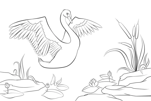 Swan cartoon Stock Photos, Royalty Free Swan cartoon Images | Depositphotos Swan cartoon Stock Photos, Royalty Free Swan cartoon Images | Depositphotos