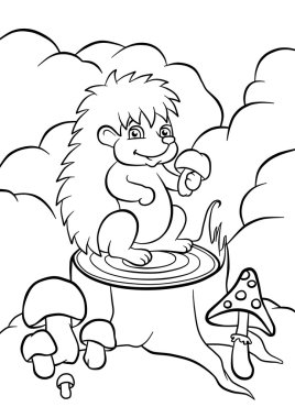 ormandaki güdük üzerinde küçük kirpi