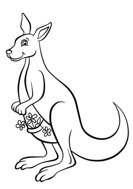Ormanda kanguru