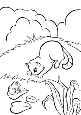 Gölün kıyısında oturan ve seyir küçük kedi