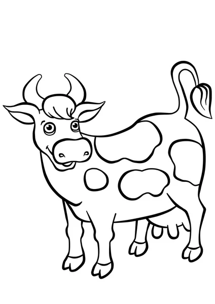 Soort glimlachend koe staande op het veld — Stockfoto