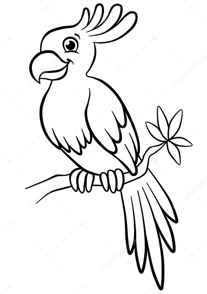 ᐈ Outline Bird Stock Drawings Royalty Free Bird Outline Pictures Download On Depositphotos