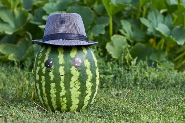 Watermelon Smile Hat Grass — Stock Photo, Image