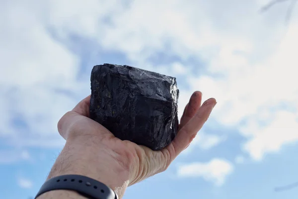 Een Man Zijn Hand Houdt Een Kool Tegen Blauwe Lucht — Stockfoto