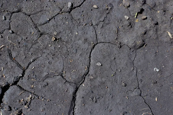 Photo Gray Earth Crack Top View Soil Cracked Lack Moisture — 스톡 사진