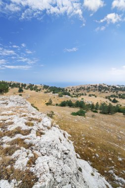 Mount Ai-Petri Yaylası 