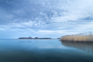akşam fotoğraf bulrush 