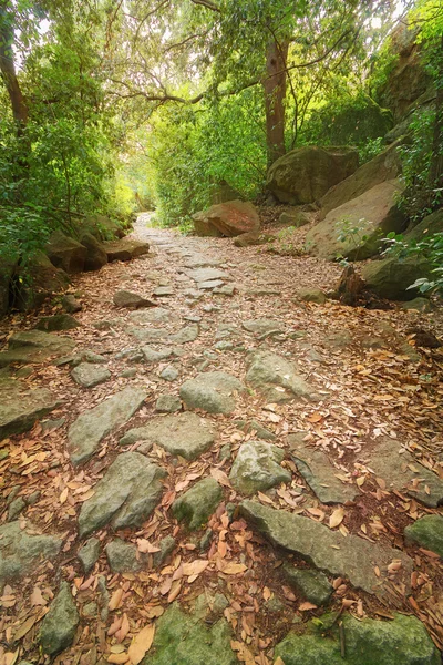 Iz parlak yaz fotoğraf — Stok fotoğraf