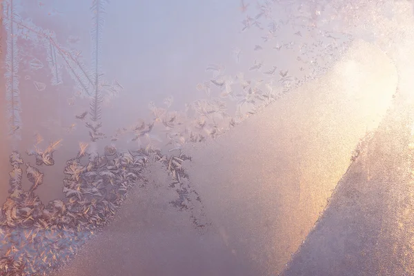 Frost på glas — Stockfoto