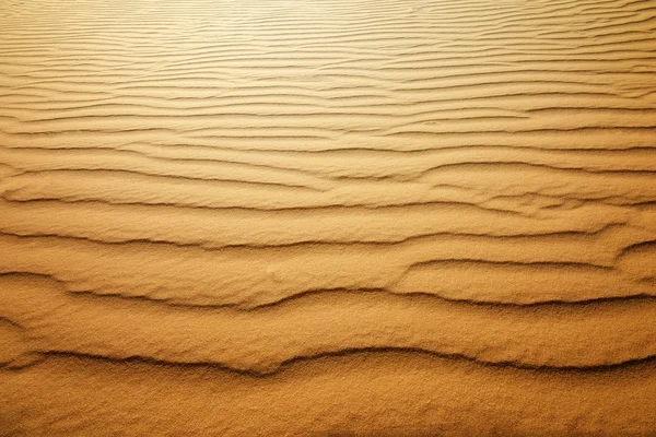 Sand dune  bright summe — Stock Photo, Image