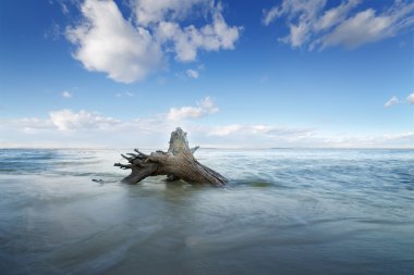 plaj kıyısında oturum 