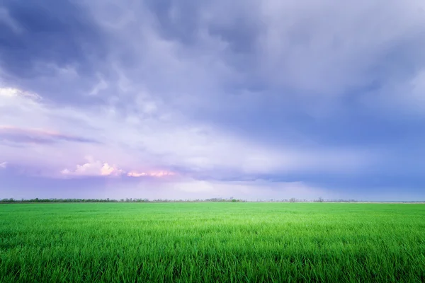 Nuvens sobre o campo — Fotografia de Stock