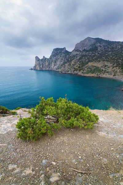 Novyi Svet Crimea Day Trekking Beauty Nature Daylight — Stock Photo, Image