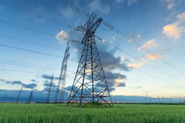 Güç hattı, açık alanda yeşil bir alanda.