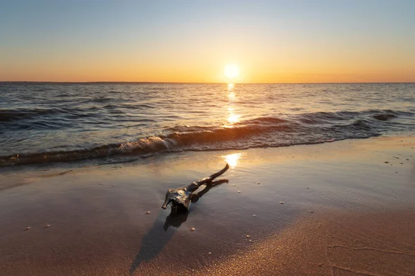 Log Lying Shore Abandoned Beach Troubled Water Dawn Morning — Stock Photo, Image