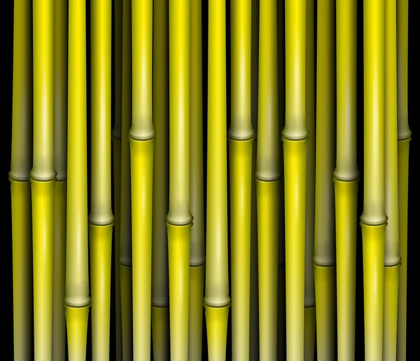 Bambu — Stock vektor