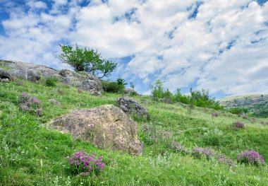 Mount Ai-Petri fotoğraf 