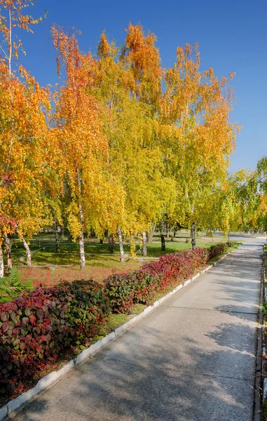 Camino de verano sin fin — Foto de Stock