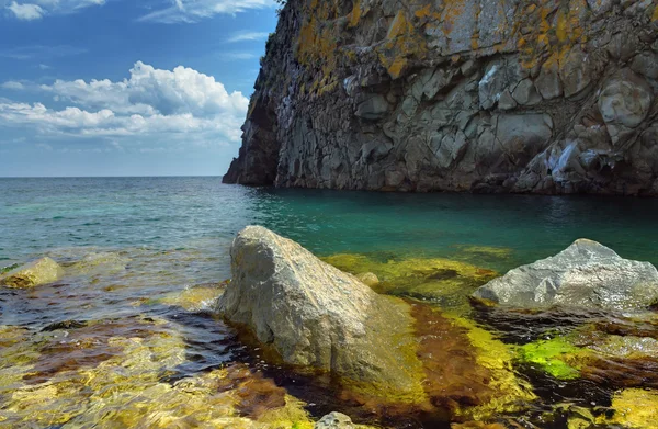 Piedra en el agua — Foto de Stock