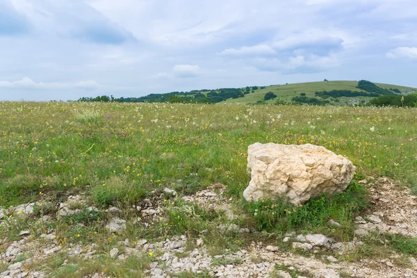 Steen op de grond — Stockfoto