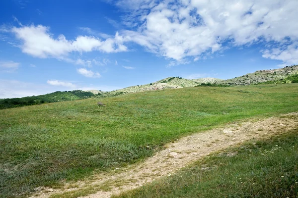 Mount Ai-Petri — Stok fotoğraf