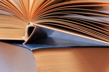 Kapalı bir kitap yığınının üzerinde duran eski bir kitabın omurgası. Eski kitapların kitaplık arkaplanı yumuşak karşıtlıkta kapat