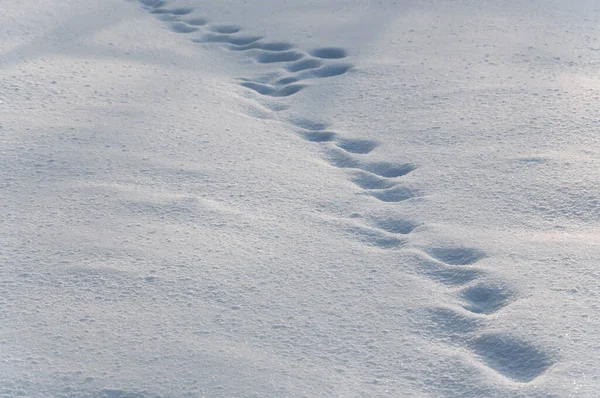 Ung Snötäcke Med Halvbegravda Fotspår Perspektiv — Stockfoto