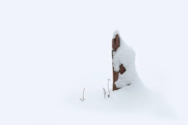 背景ミニマリズムの古い木の切り株が雪で覆われている白い背景 — ストック写真