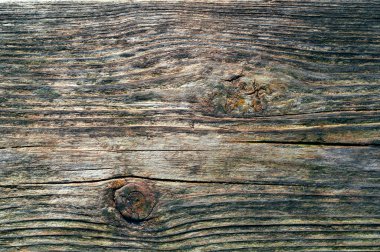 çatlamış düğümleri ve yeşil mantarı olan eski bir tahtanın dokusu