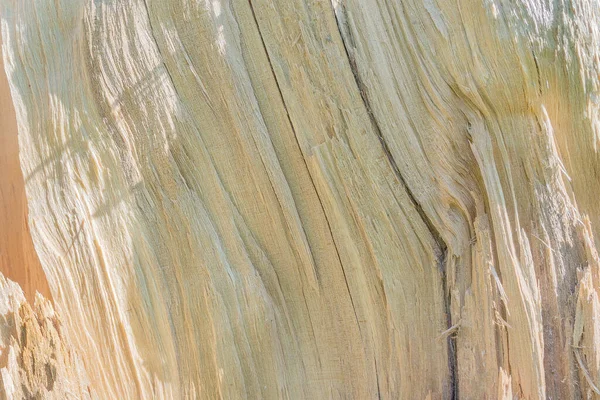 Абстрактний Фон Деревного Волокна Яскравому Сонячному Світлі — стокове фото