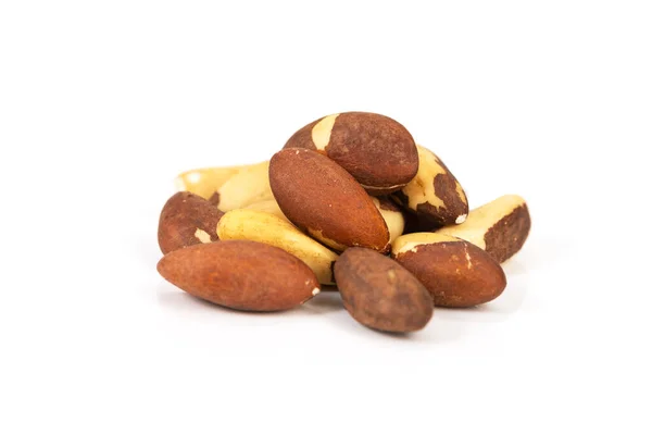 Brazil Nut Bertholletia Excelsa White Background Isolated — Stok Foto