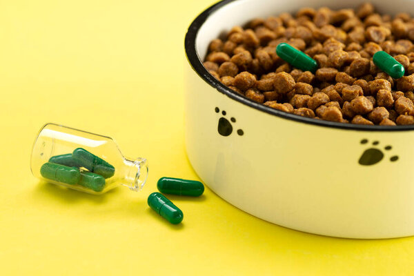 Animal food with tablets in a bowl. Vitamins for animals. Treating cats.