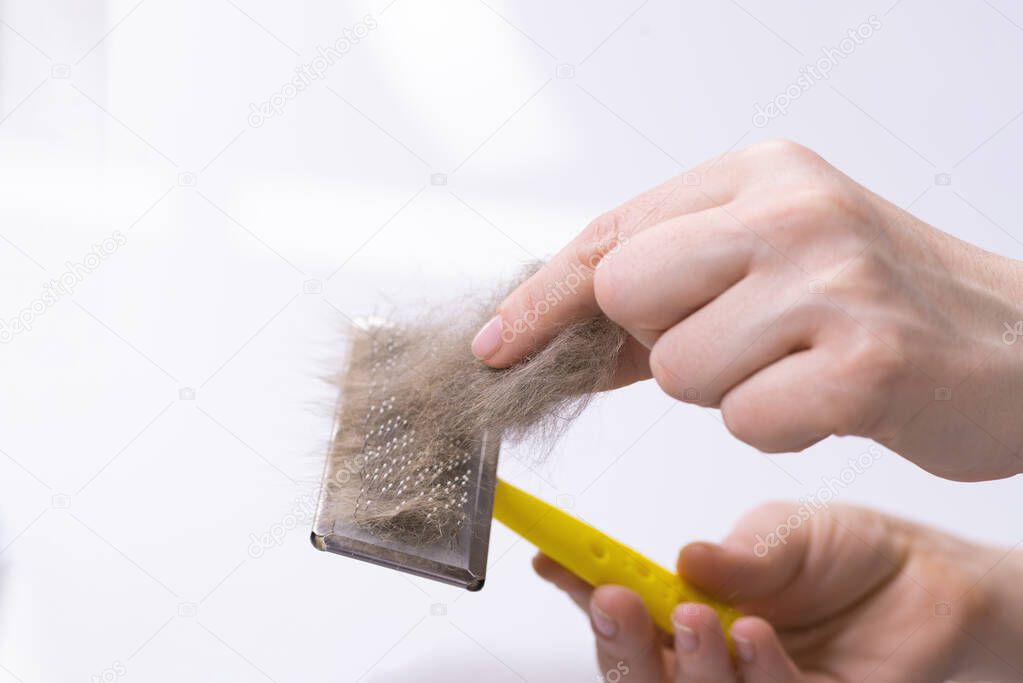 Cleaning pet hair with a remover. Hand and fur of a cat. Cleaning furniture from wool. A household cleaner for dandruff, hair, debris, hair and pet fluff.
