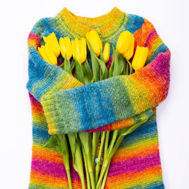 Arka planda sarı lale demeti örgü süveter, üst manzara, kadınlar günü için sarı lale demeti, bahar çiçekleri konsepti..