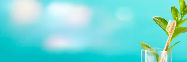 Екологічно Чиста Бамбукова Зубна Щітка Зелена Рослина Склянці Води Синьому — стокове фото